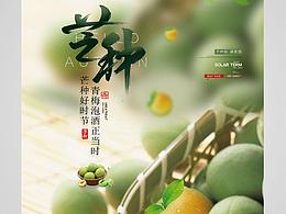 24节气海报