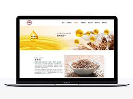 大健康行业——网站