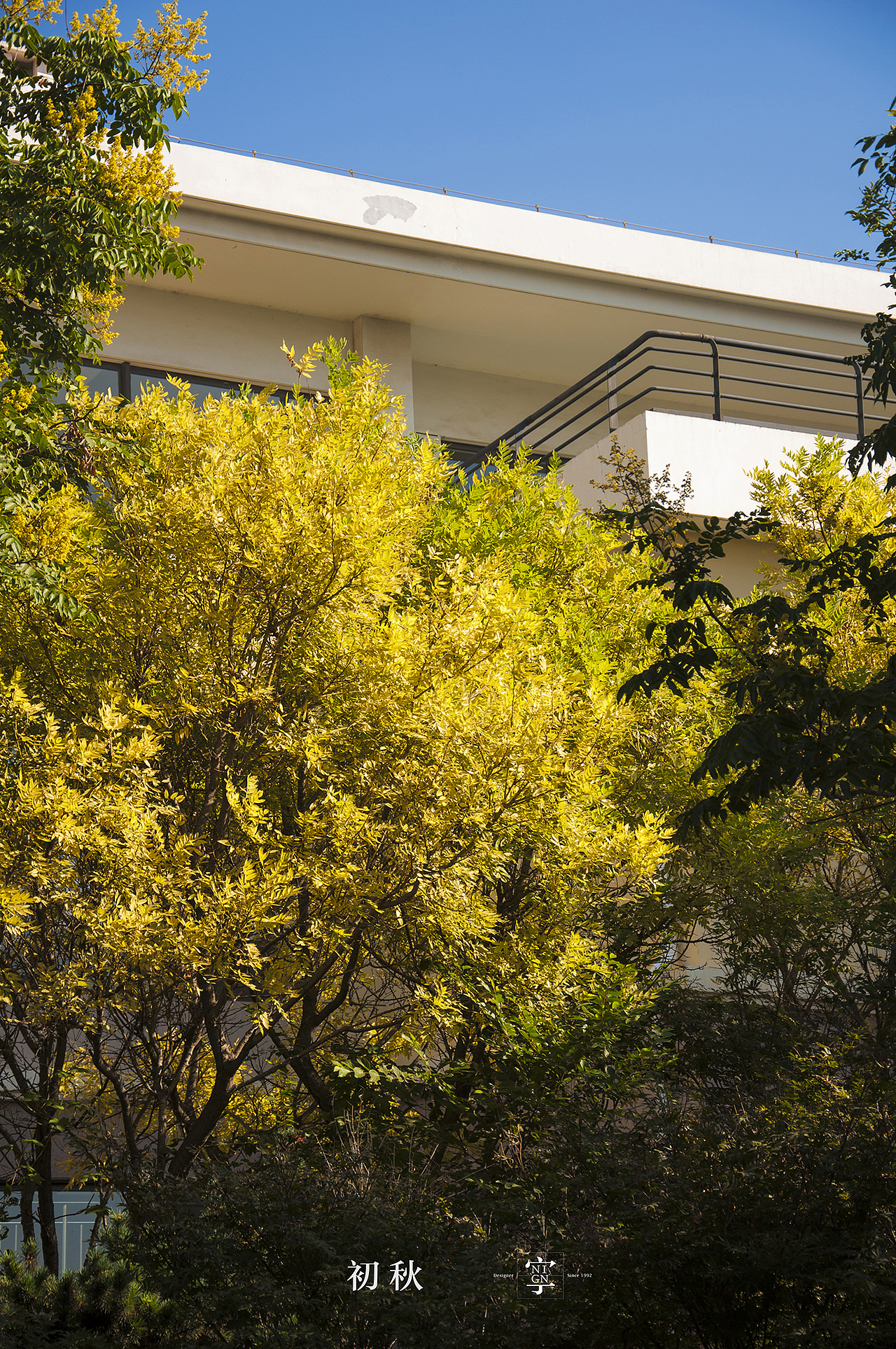 初秋/青岛/海大 -下-