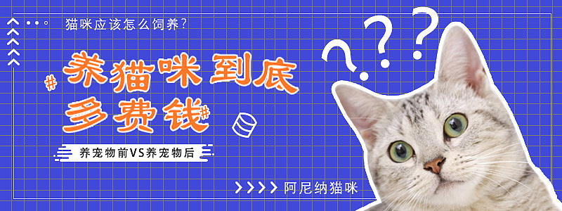 Banner-临摹（图ZMTg1NTUyNjgw） - 其他UI - 站酷设计师92WANGXL原创素材 - 站酷ZCOOL