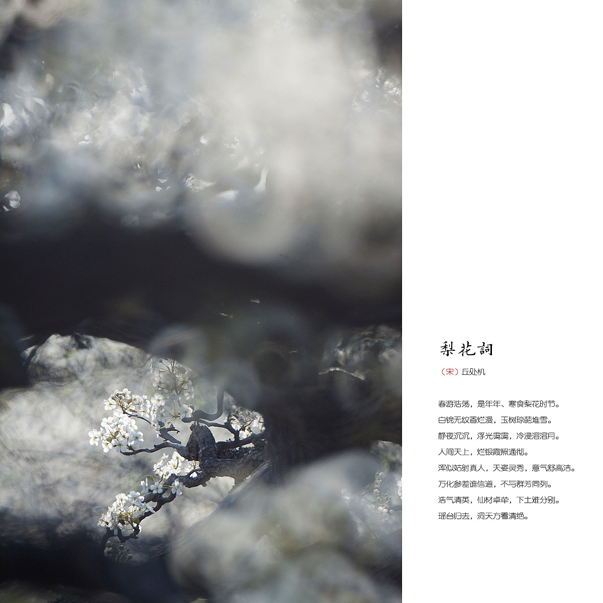 虚什么俗成语_成语故事简笔画