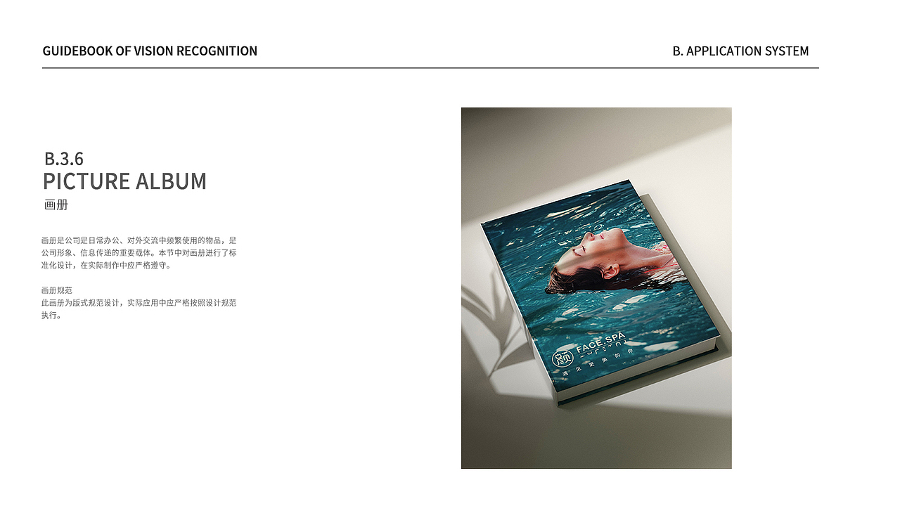 VIS视觉识别系统