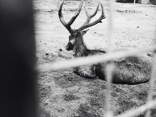 簡(jiǎn)單的黑白故事（手機(jī)）（個(gè)人主頁(yè)-ZMTMxMjQyOTY=） - 風(fēng)光攝影 - 站酷設(shè)計(jì)師zoezt原創(chuàng)素材 - 站酷ZCOOL