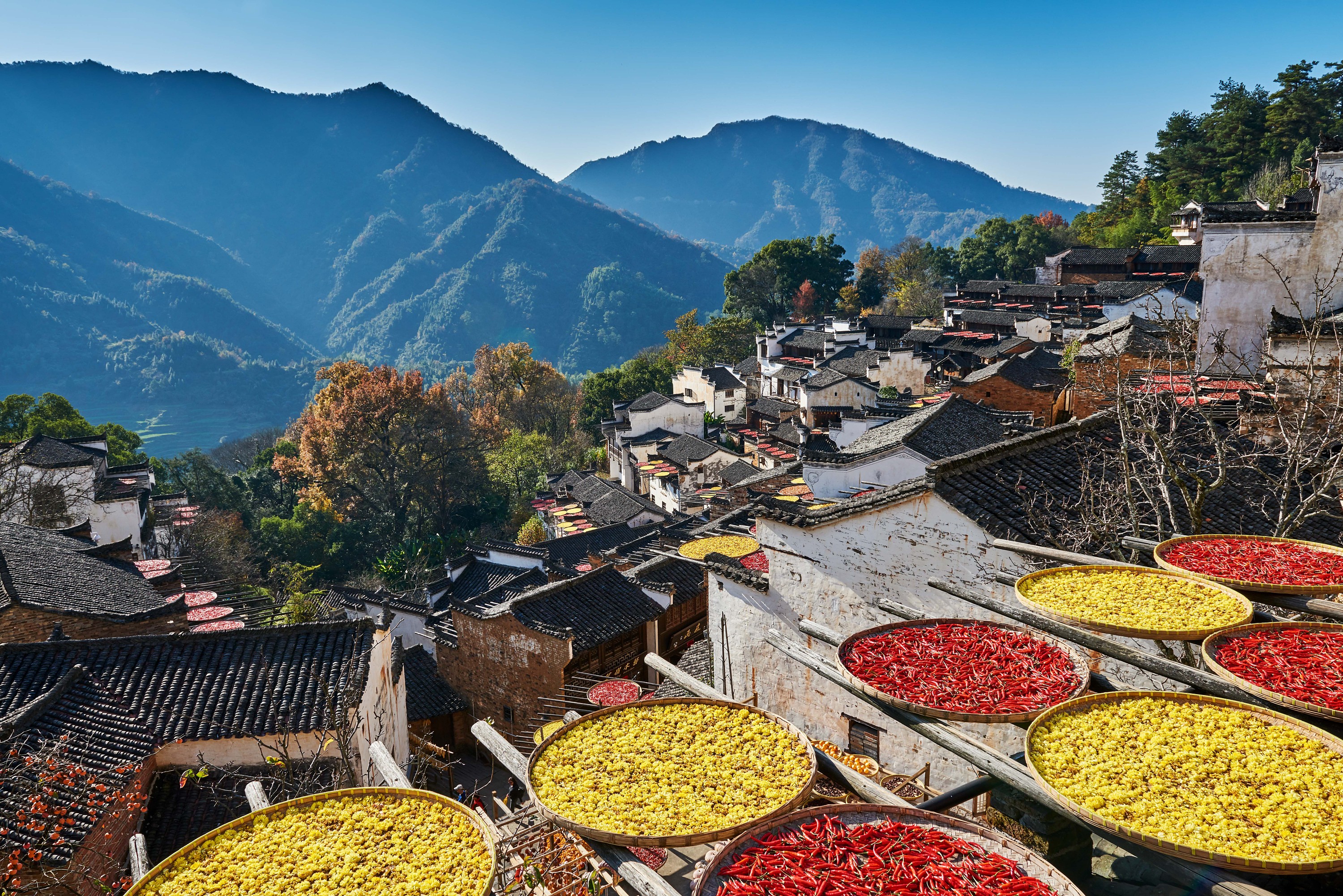 为什么中国最美乡村，是江西婺源？_旅游