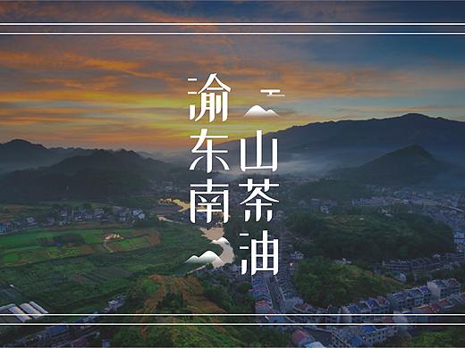 重庆一家渝东南山茶油公司的品牌设计