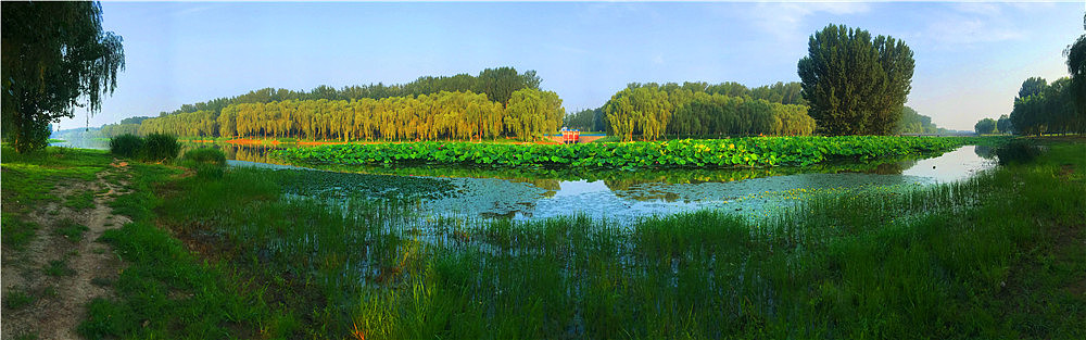 刘勇良摄影作品:河畔的风景