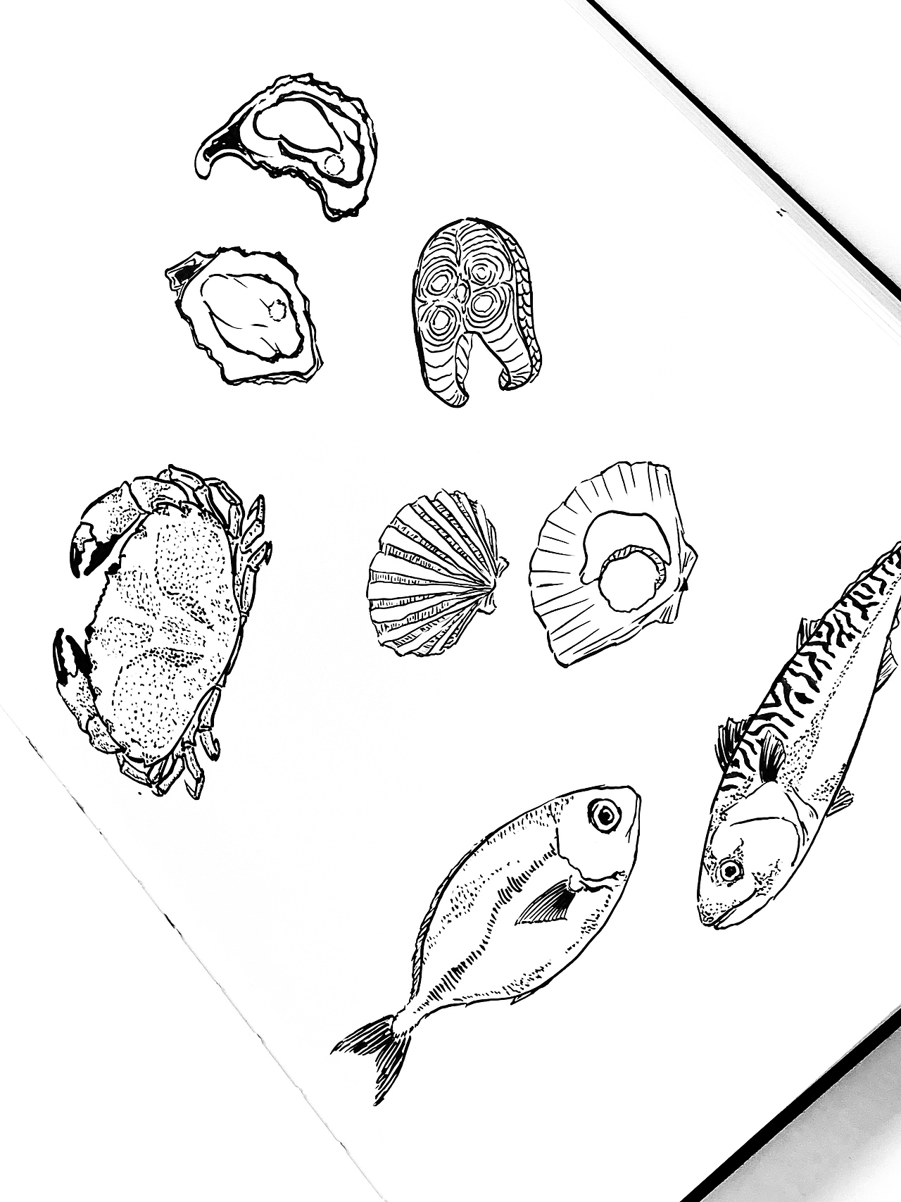 黑白毛笔画之海鲜篇