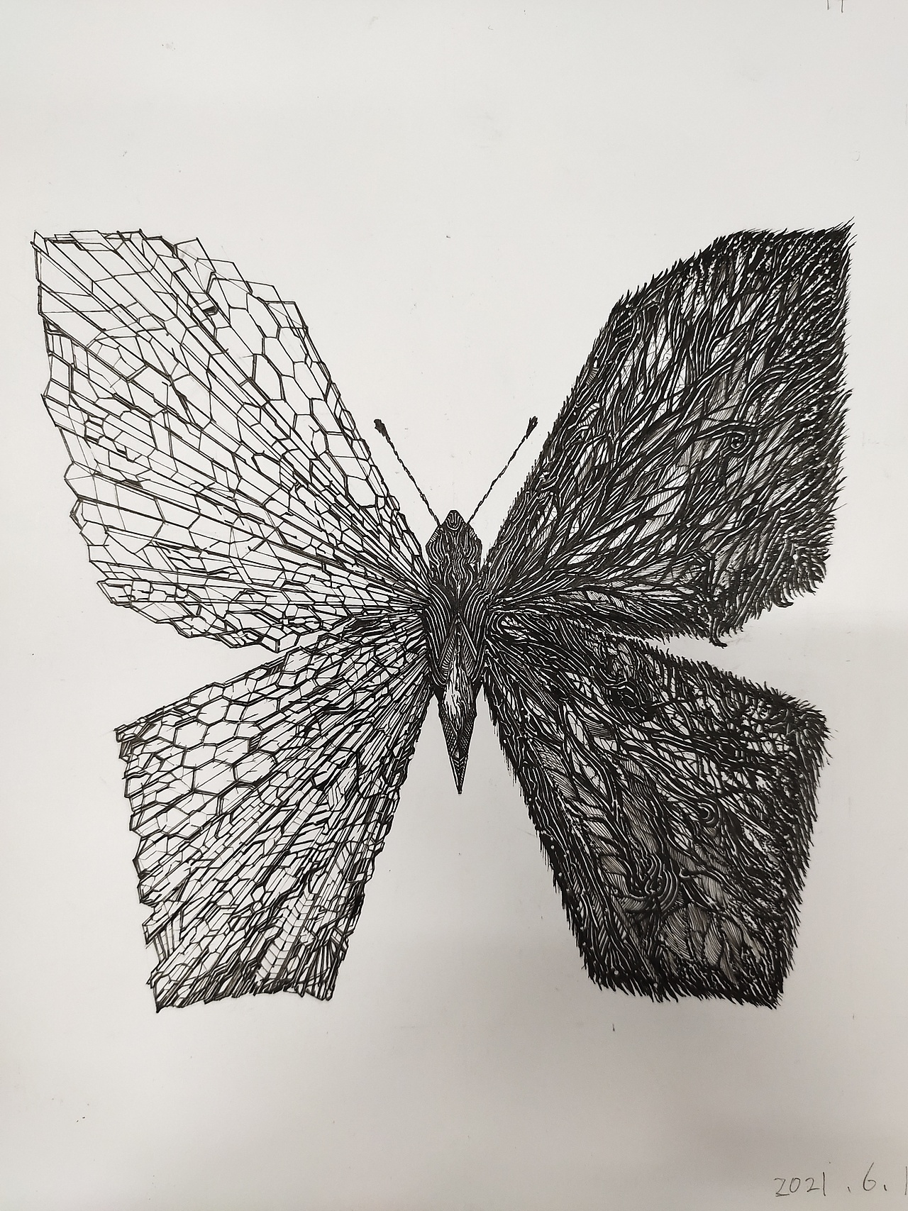 原创黑白装饰画手绘 世界之蝶：埃森丝（图ZMjU5NjczMDA4） - 绘画 - 站酷设计师MCLong2000原创素材 - 站酷ZCOOL