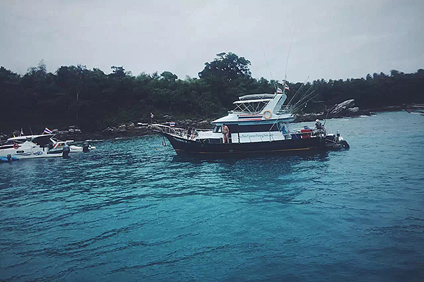 偏方: 榴莲配人妖