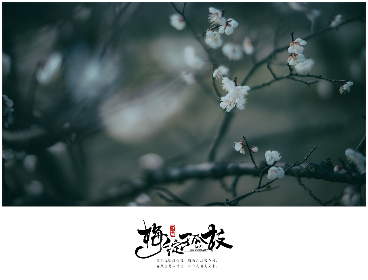《梅绽孤枝》（图ZNzEwNjI5NDg=） - 风光摄影 - 站酷设计师摄影师子意原创素材 - 站酷ZCOOL
