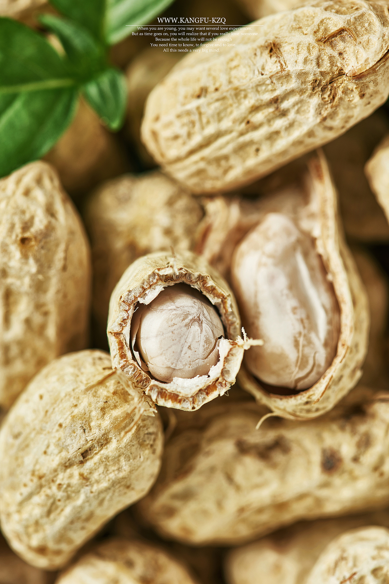 水煮花生（圖ZMTE4MDgyMjA4） - 產(chǎn)品攝影 - 站酷設(shè)計師康夫食紀(jì)原創(chuàng)素材 - 站酷ZCOOL