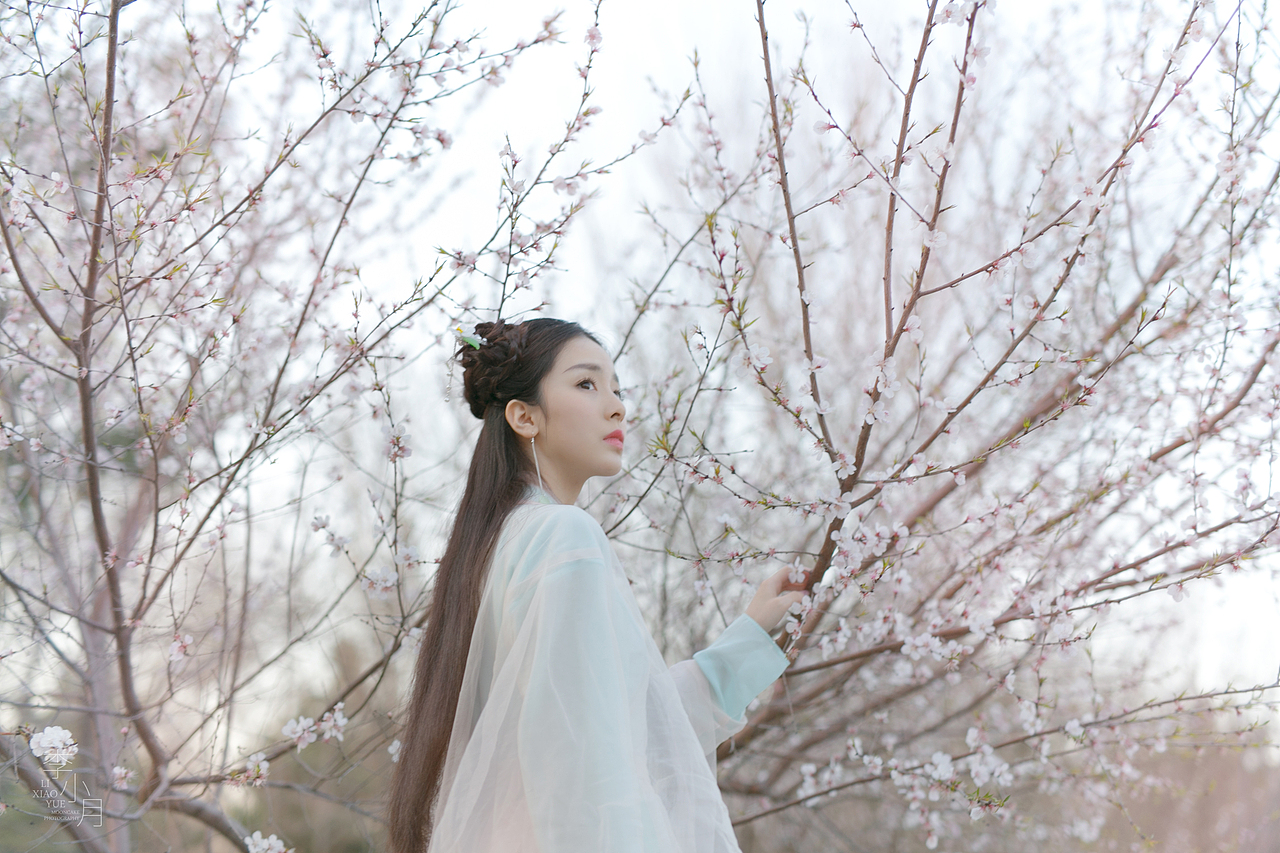 三生三世十里桃花