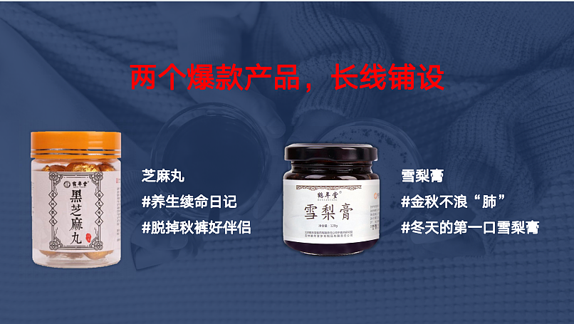 2022鹤年堂养生保健品品牌全年营销方案-74P