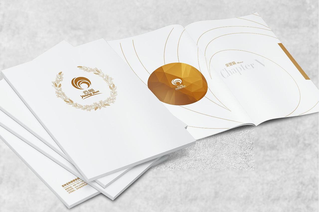 大顺锦图 DASHUN DESIGN > 品牌设计案例分享集【云尚篇】（图ZNTMzNzE3NjQ=） - 品牌 - 站酷设计师大顺锦图原创素材 - 站酷ZCOOL