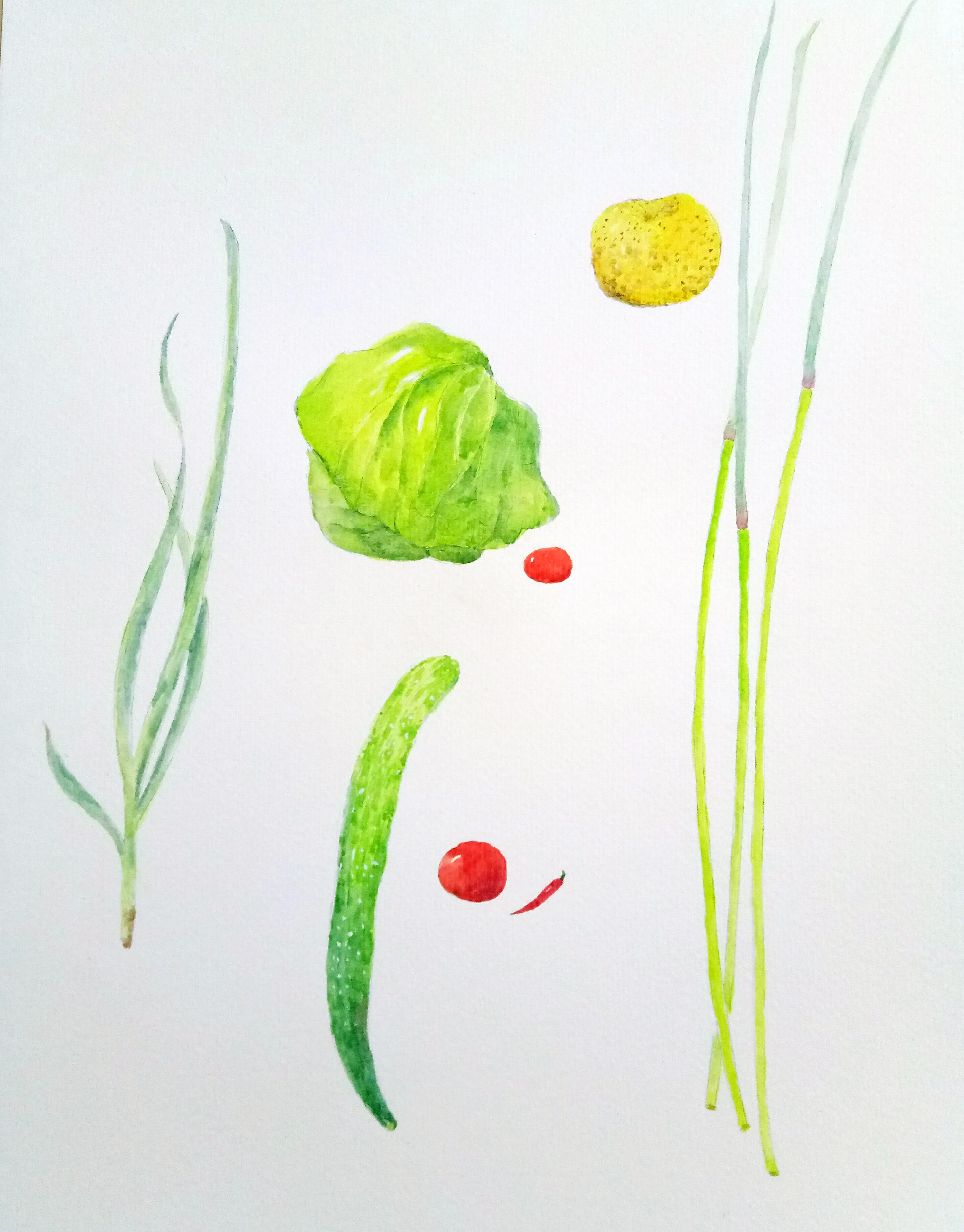 水彩手绘 蔬菜日常