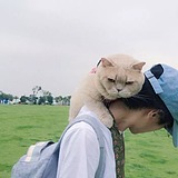 那片梧桐那片雨的头像