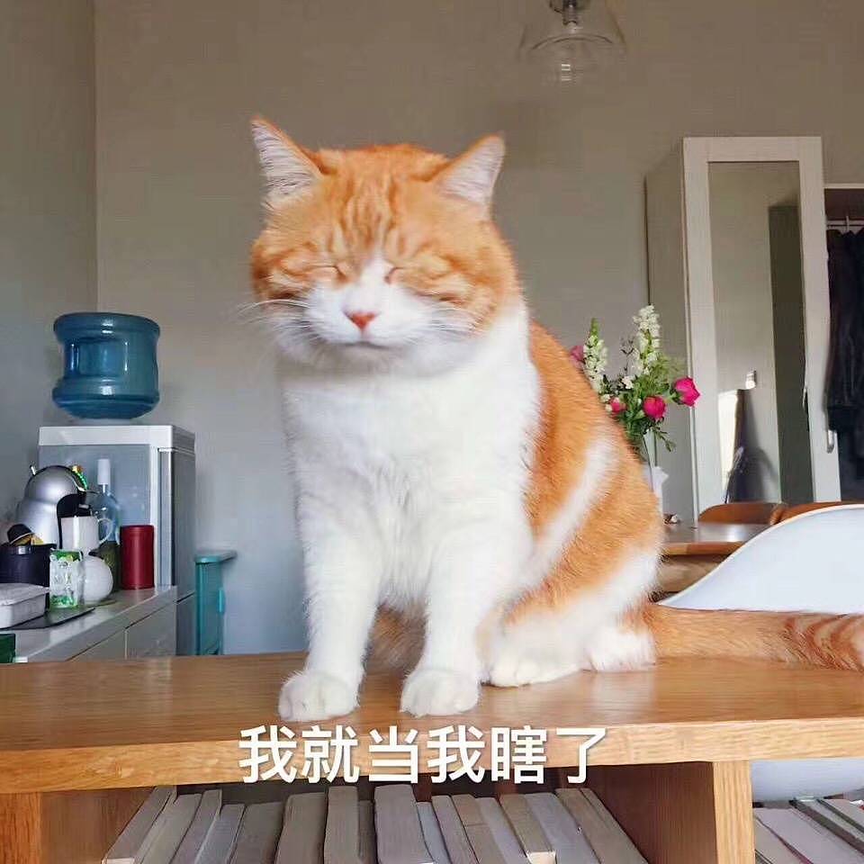 橘猫表情包