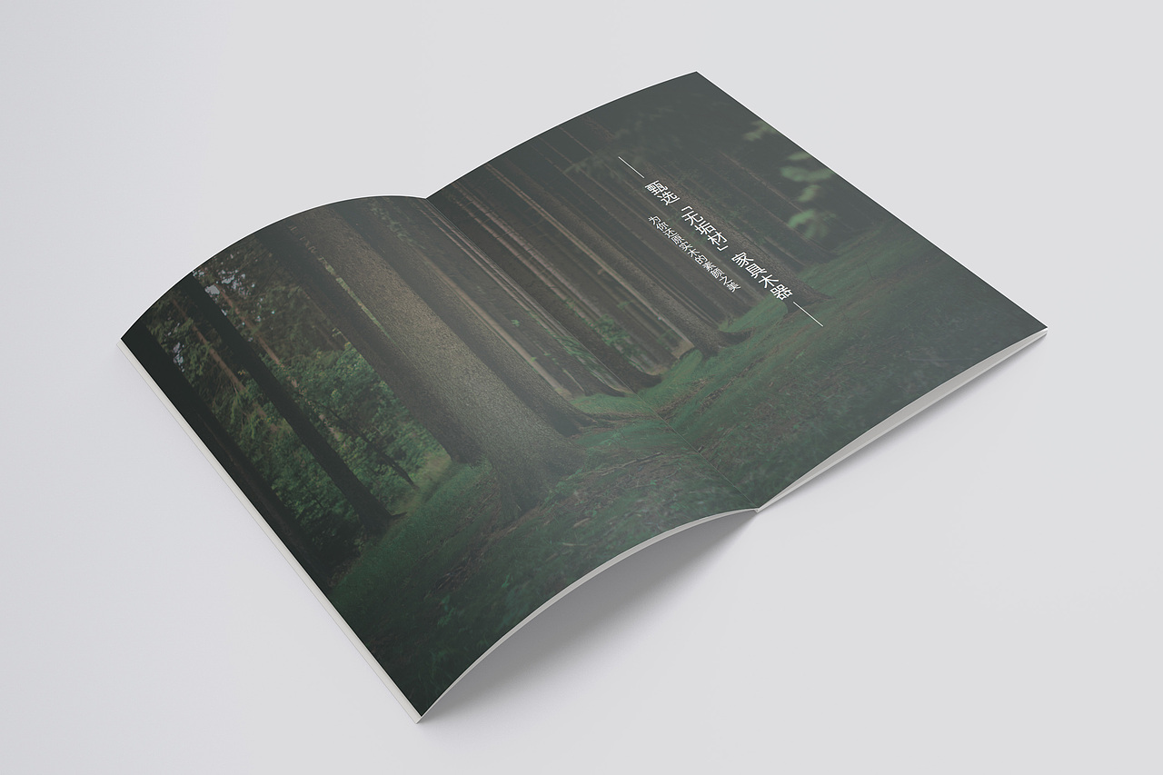 家装／家居／家具 至家画册（图ZMTA4MDA3NTI4） - 书籍/画册 - 站酷设计师莫鱼A原创素材 - 站酷ZCOOL