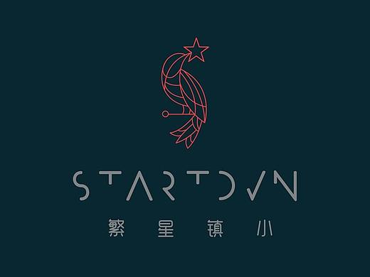 STARTOWN - LOGO Design Concepts