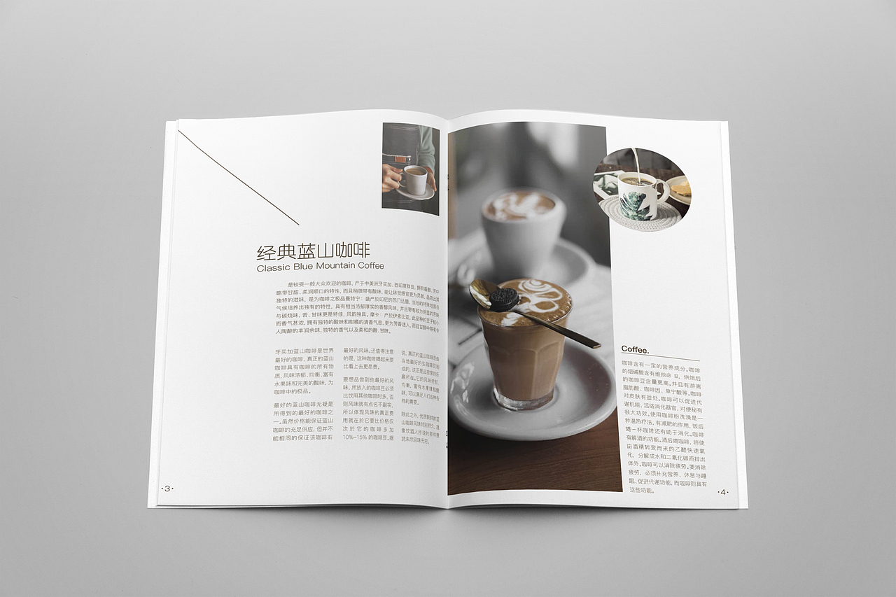 原创品牌画册设计