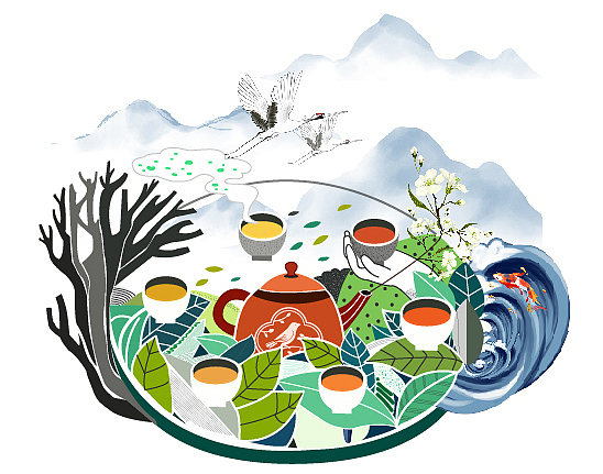 娃哈哈宜茶时包装设计-大广赛