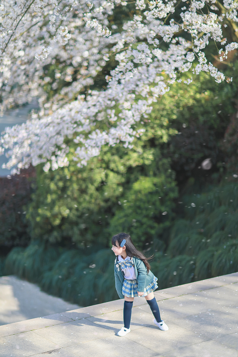 🌸春樱🌸（图ZMjUwNjEwMDg4） - 人像摄影 - 站酷设计师一只小心晨原创素材 - 站酷ZCOOL