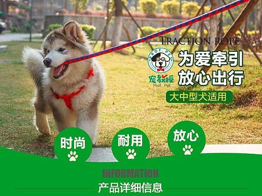 狗狗牵引绳详情