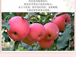 电商课程