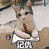 欣大的头像