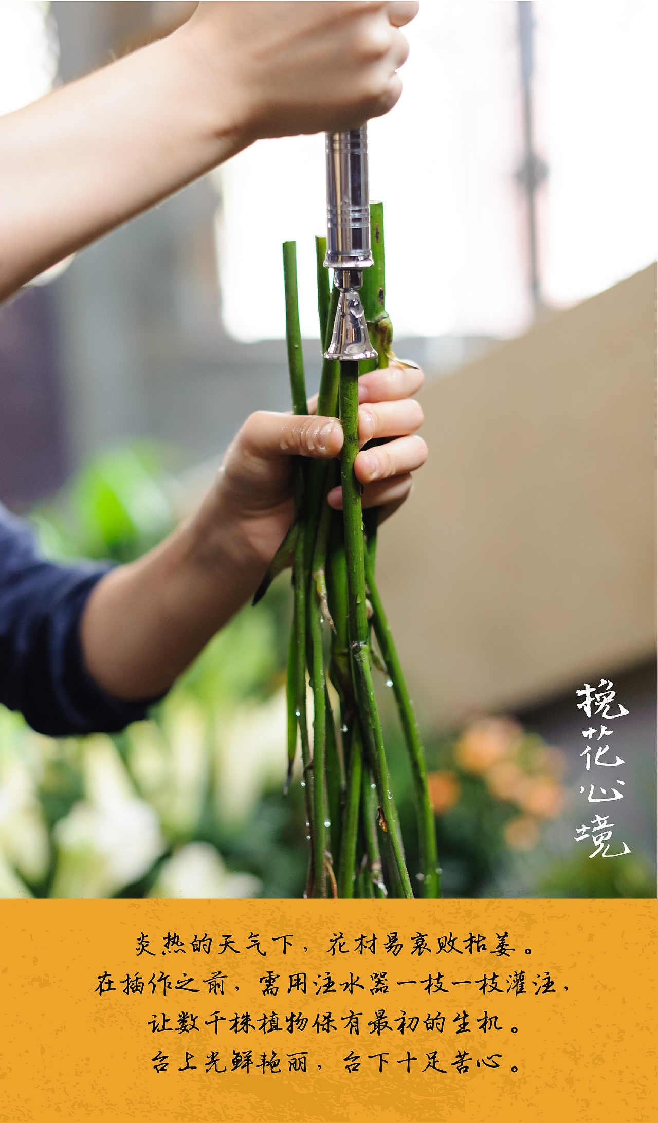《挽花心境》花道书籍设计宣传海报（图ZOTAxMTgzOTI=） - 书籍/画册 - 站酷设计师中国林派花道原创素材 - 站酷ZCOOL