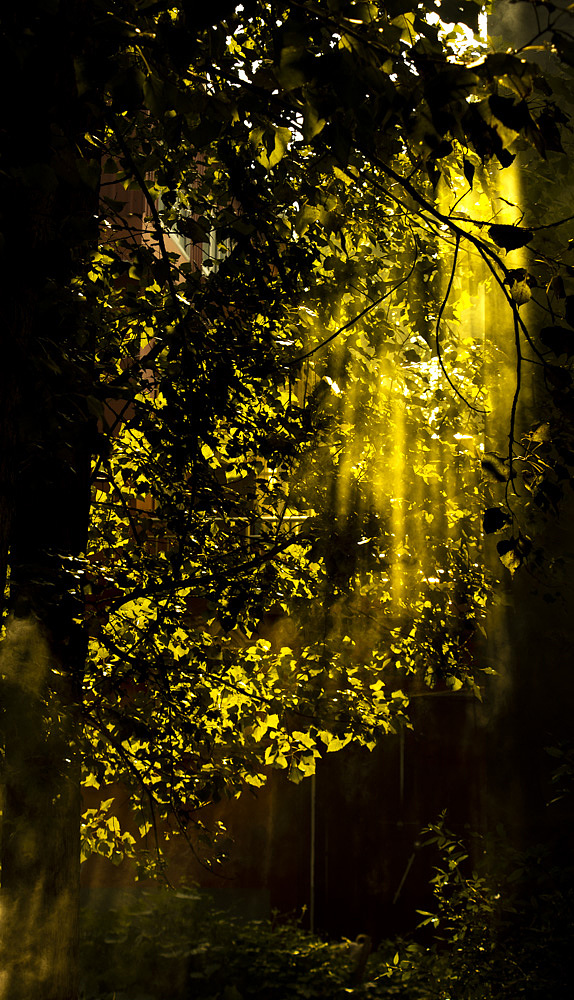 清晨微光|摄影|风光摄影|木乔桥啦 - 原创作品 - 站酷 (zcool)