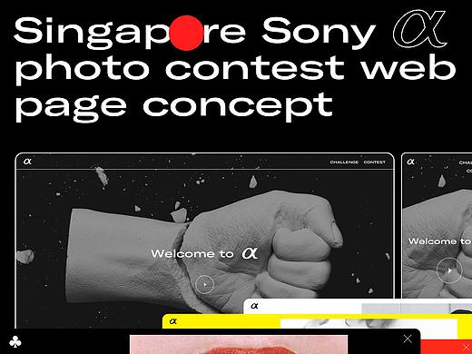 Sony Alpha Photo Contest Concept - Singapore