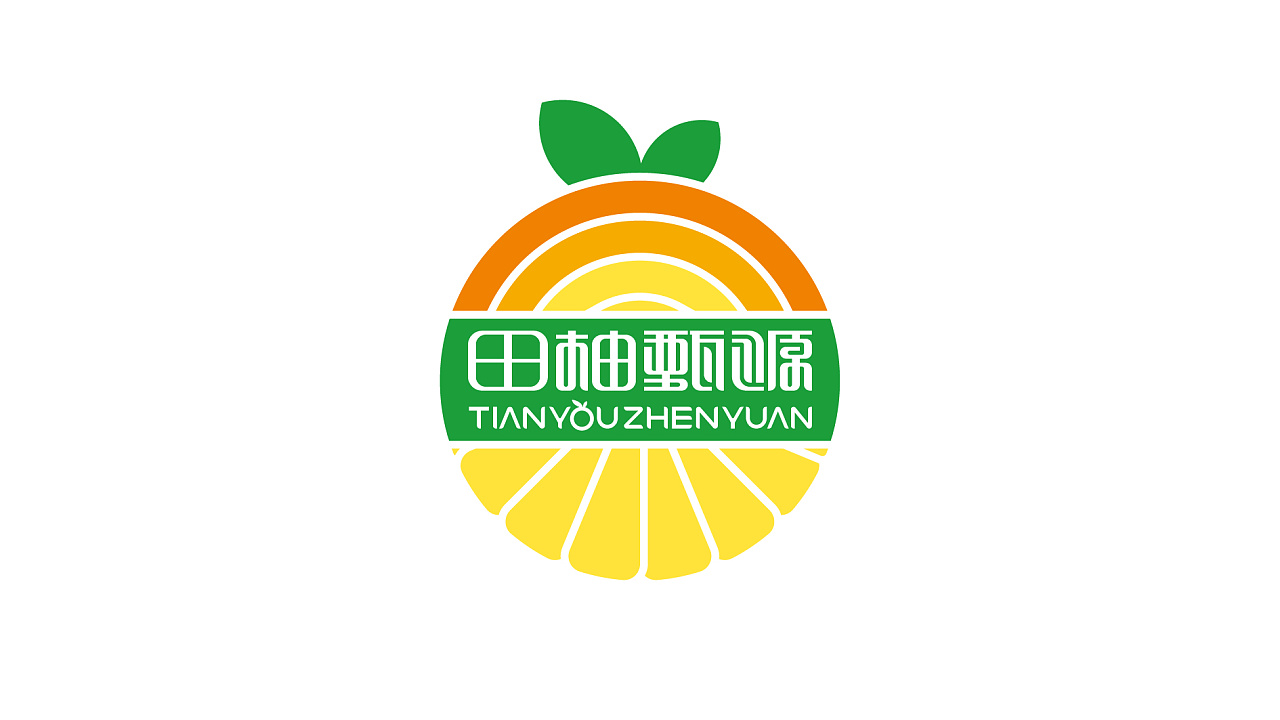 田柚甄源logo设计提案-飞机稿 - 原创作品 - 站酷(zcool)