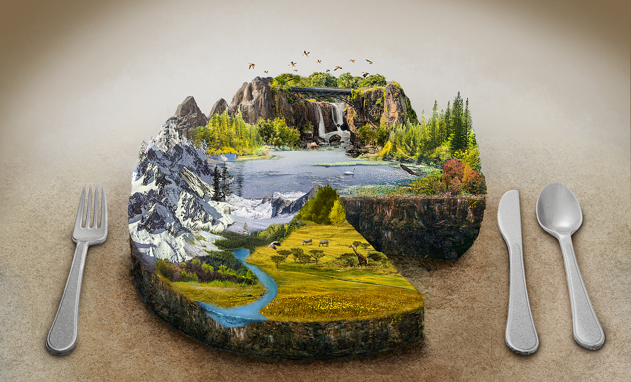 杰克不是人,高产似母猪