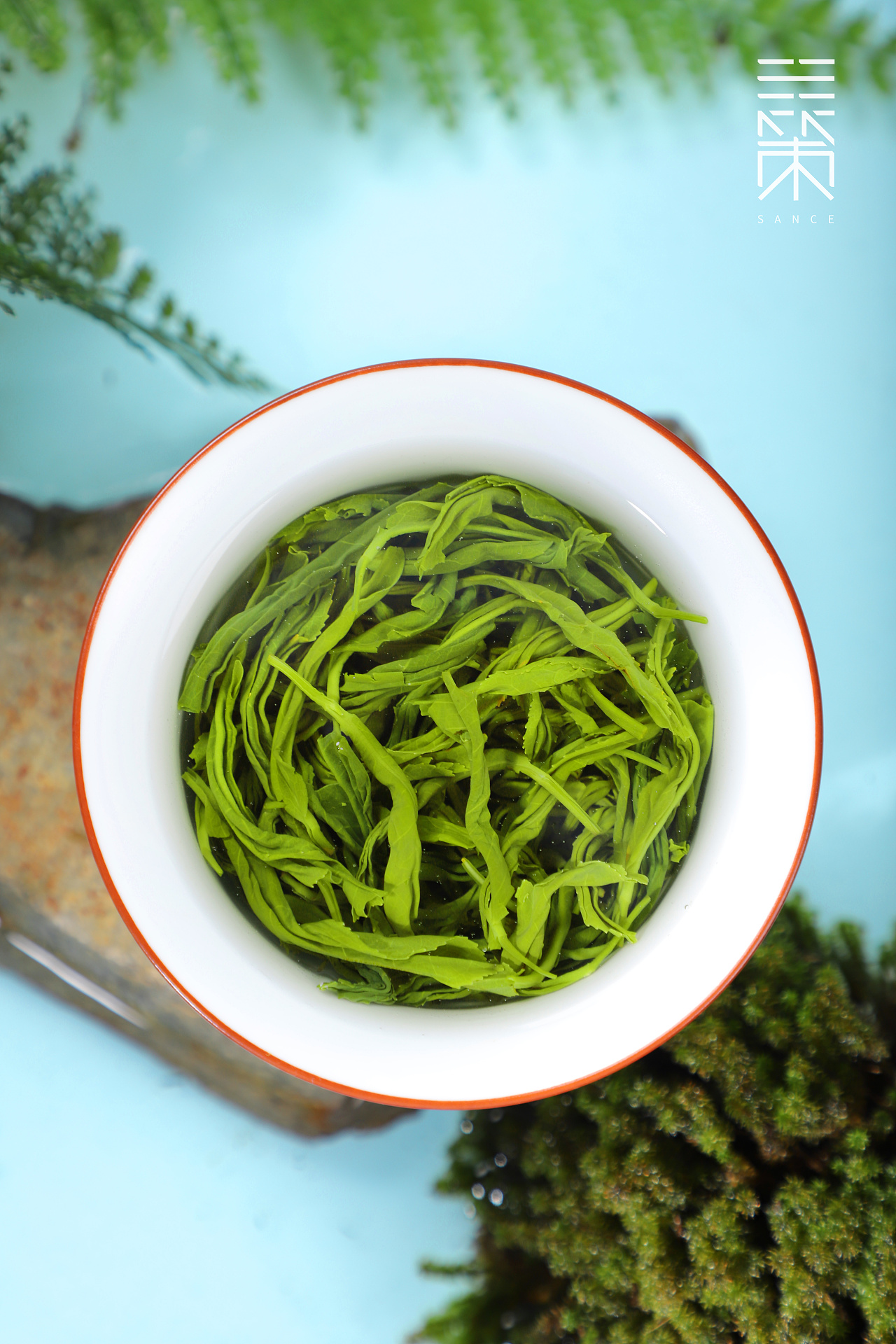 云雾绿茶茶叶摄影