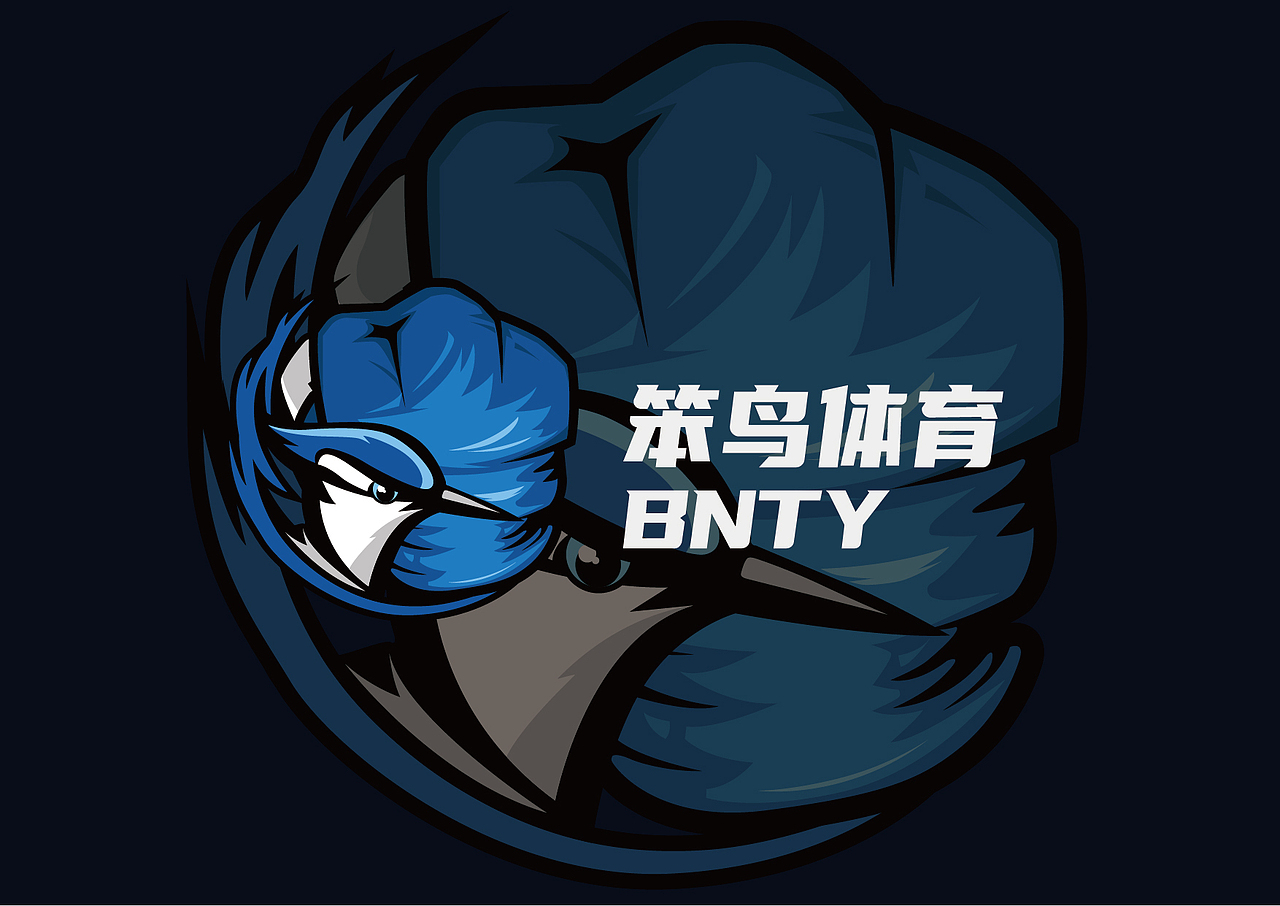 笨鸟体育-拳击用品（图ZMjI2NjY1MDg0） - Logo - 站酷设计师偶尔天才原创素材 - 站酷ZCOOL