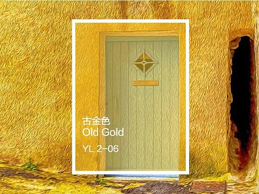 色彩解读：古金色，温暖和明媚，奢华贵气