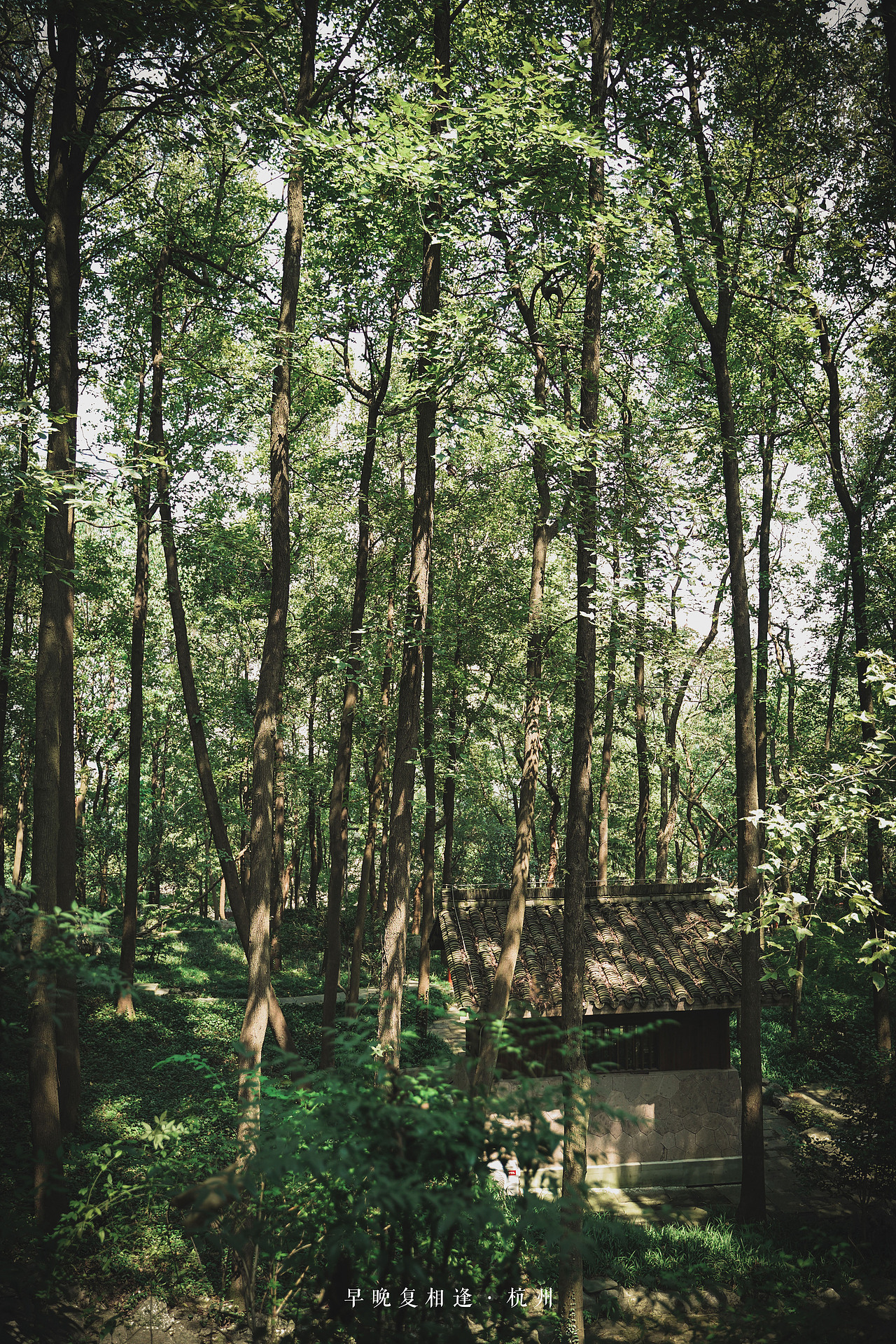 “早晚复相逢”