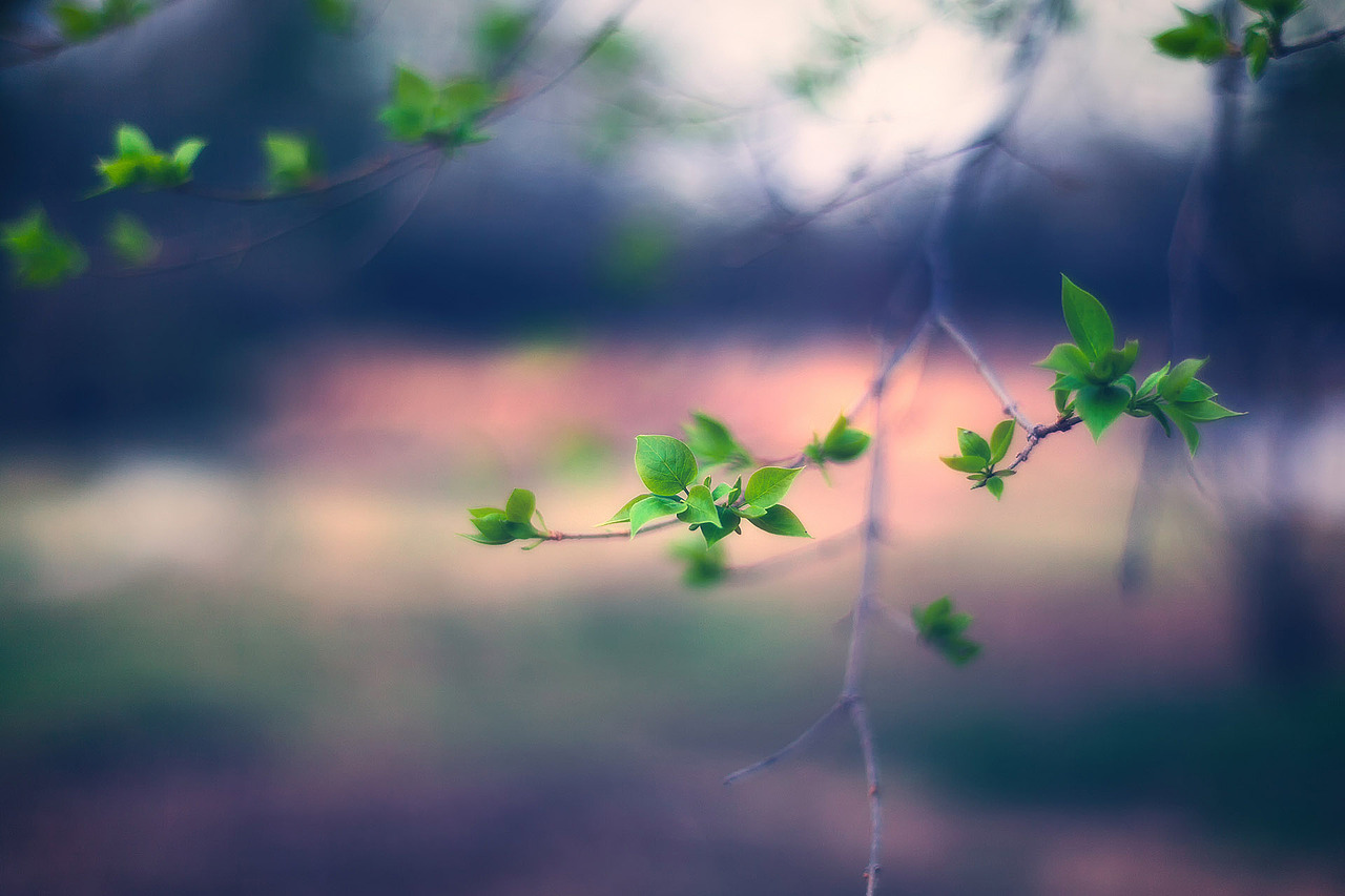 春誌2021（图ZMjU2NDk1MTQ4） - 风光摄影 - 站酷设计师amhx原创素材 - 站酷ZCOOL