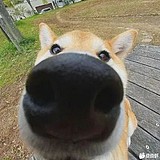 Roche9的头像