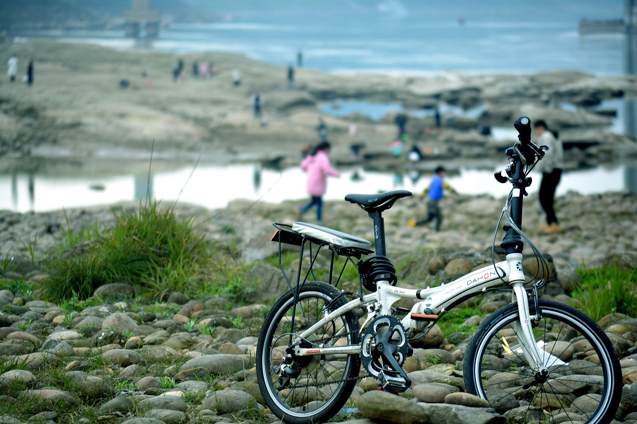 春游.野营.烧烤的场景