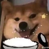 Makoro的头像