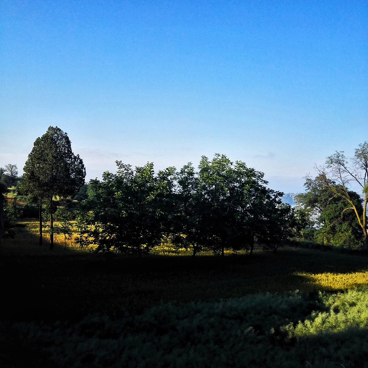 五月的一个早晨