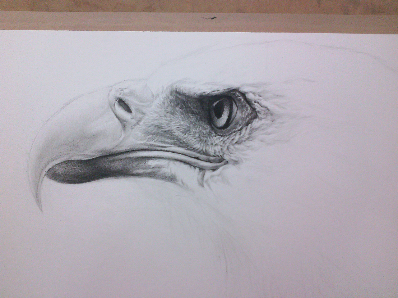 对开 彩铅素描  今年9月份