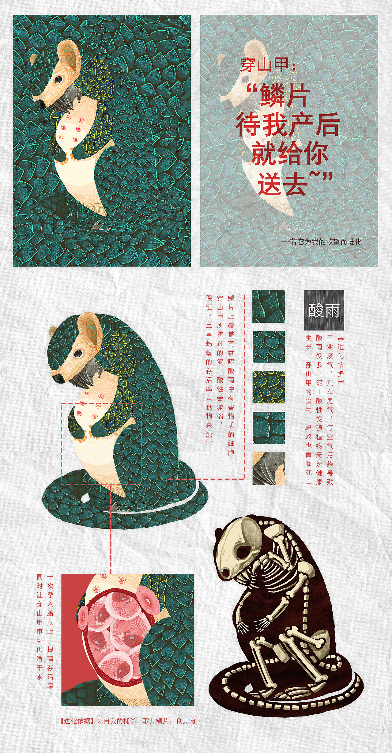 《与我共存的进化》| 濒危物种主题公益插画毕业设计