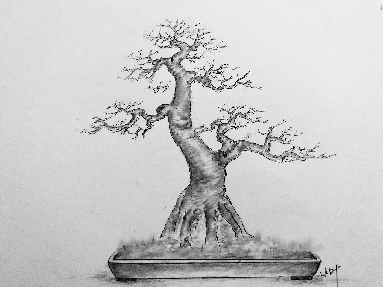 手绘盆景设计图