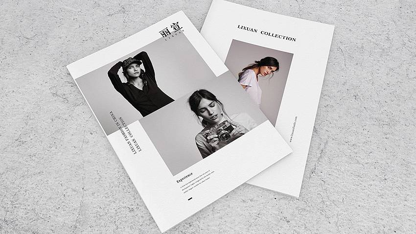 《丽宣》服装品牌设计