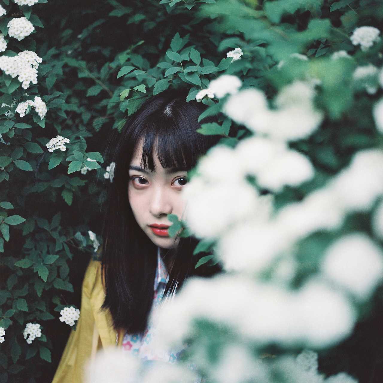 从你的全世界路过（图ZMTU1OTQ5NzY4） - 人像摄影 - 站酷设计师纯洁的蒋老师原创素材 - 站酷ZCOOL