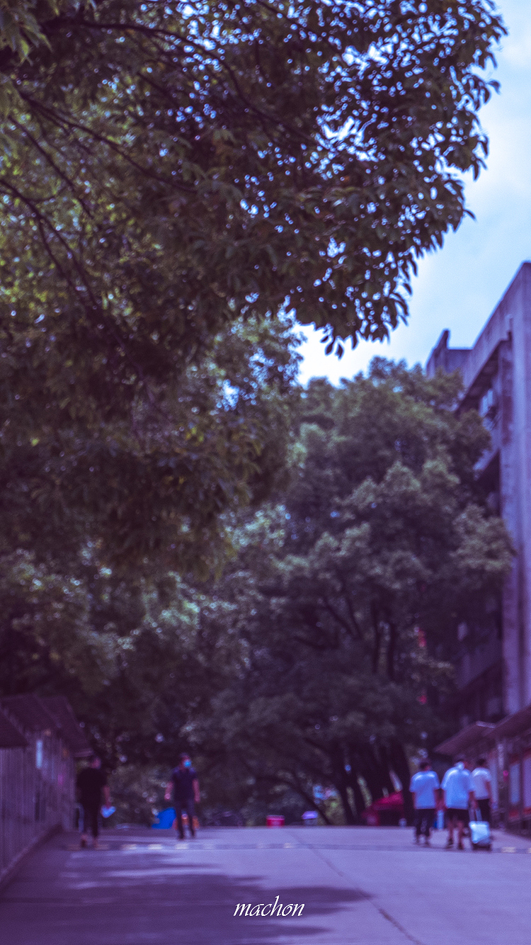 湖南工业大学科技学院（图ZMjEzNjc4NjY4） - 风光摄影 - 站酷设计师小马很快乐原创素材 - 站酷ZCOOL