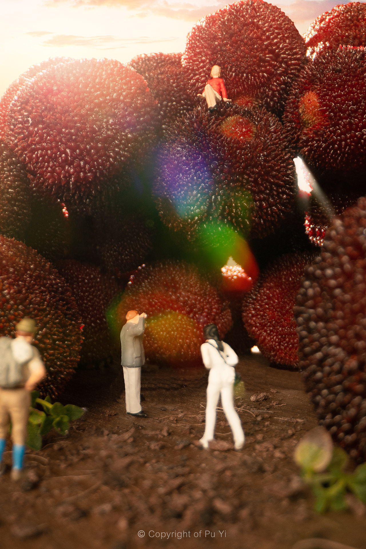 「 顺丰大当家 」杨梅 微观小人世界摄影